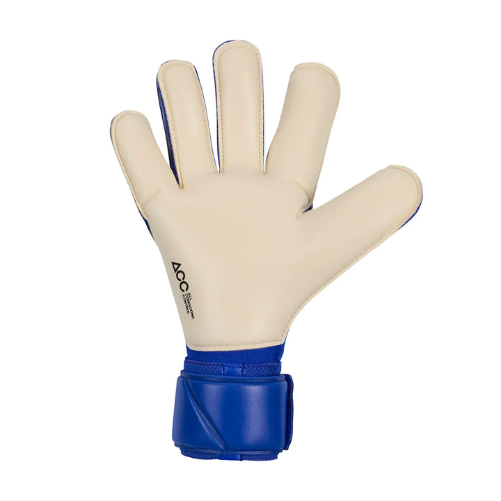 Nike Goalkeeper Vapor Grip 3 - Racer Blue / Black / Pink Blast