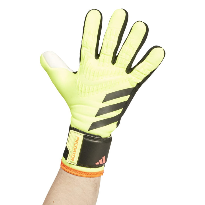 Pred Gl Lge - Solar Yellow/Black/Solar Red